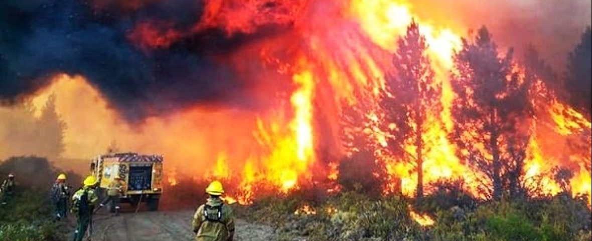 Incendios en el sur: siguen arrasando sin control mientras el Gobierno mantiene un silencio sepulcral y una inacción absoluta