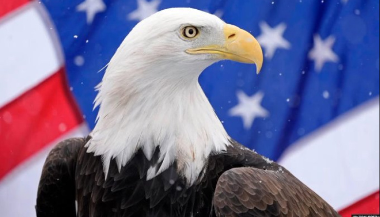 EE.UU. presiona por Uranio y Telecomunicaciones en Argentina: El precio oculto del Swap