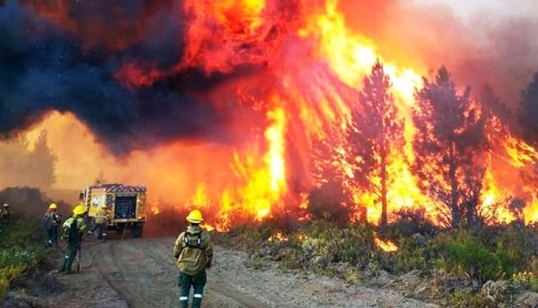 Incendios en el sur: siguen arrasando sin control mientras el Gobierno mantiene un silencio sepulcral y una inacción absoluta