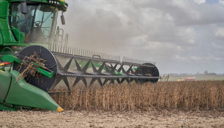 “Argentina aísla soja transgénica HB4 para salvar exportaciones a Europa”