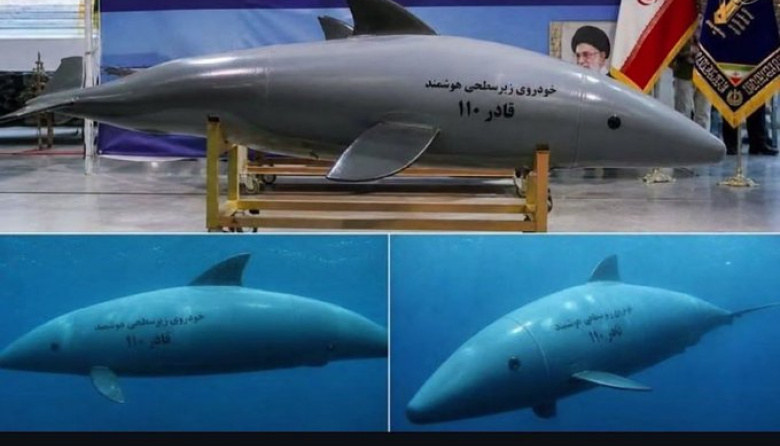 Delfines suicidas de Irán: ¿arma real o propaganda?