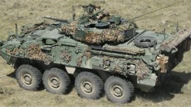 El Stryker: Una Elección Cuestionable para la Topografía Argentina