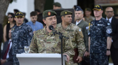 ¿Quién inició primero la auditoría en el IOSFA: Luis Petri o Carlos Presti?