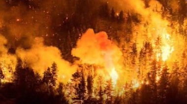 Soldados Israelíes Detrás de los Incendios en el Sur Argentino: Denuncias que Resuenan en la Patagonia