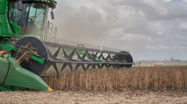“Argentina aísla soja transgénica HB4 para salvar exportaciones a Europa”