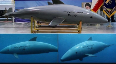 Delfines suicidas de Irán: ¿arma real o propaganda?