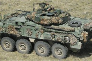 El Stryker: Una Elección Cuestionable para la Topografía Argentina