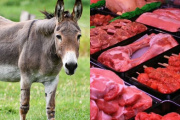 De país agroindustrial… al burro por la vaca