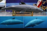 Delfines suicidas de Irán: ¿arma real o propaganda?