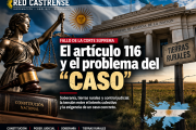 El artículo 116 y el enigma del “caso”: ¿dónde termina la regla y dónde empieza la tutela colectiva?