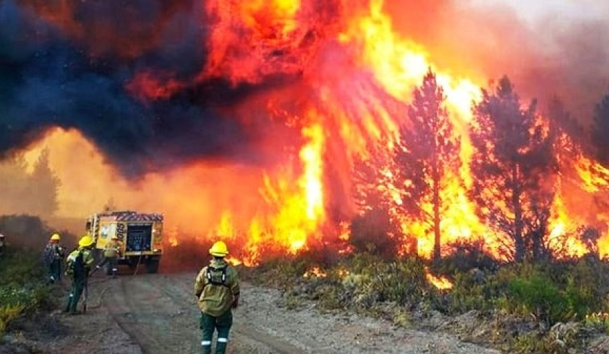 Incendios en el sur: siguen arrasando sin control mientras el Gobierno mantiene un silencio sepulcral y una inacción absoluta